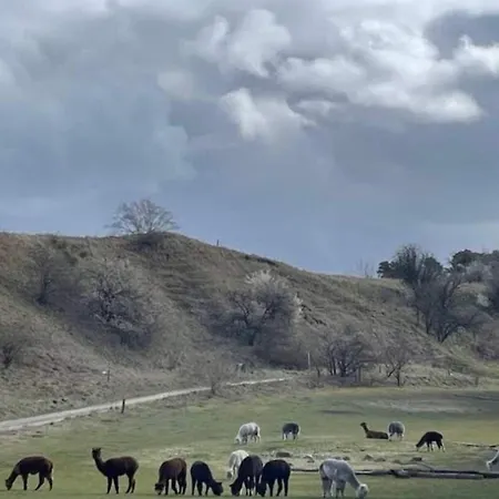 4 Person In * Skibby