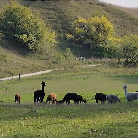 Дом отдыха 4 Person In Skibby