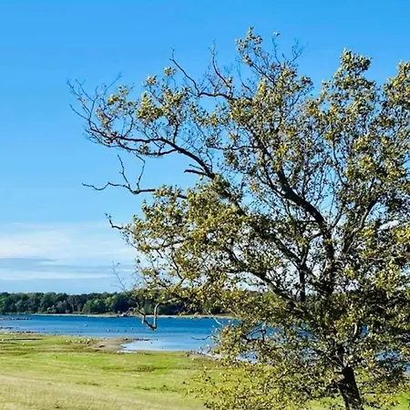 Дом отдыха 4 Person In *