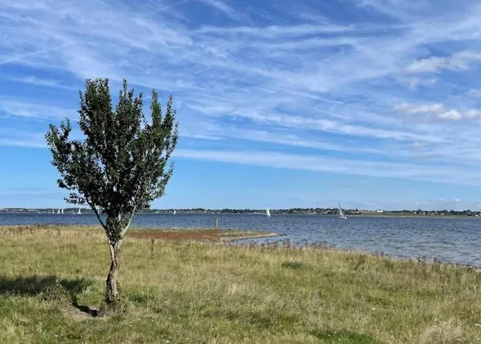 Vakantiehuis 4 Person In